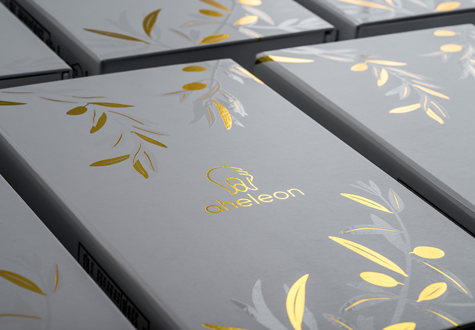 Aheleon Kamenitsa premium presentation